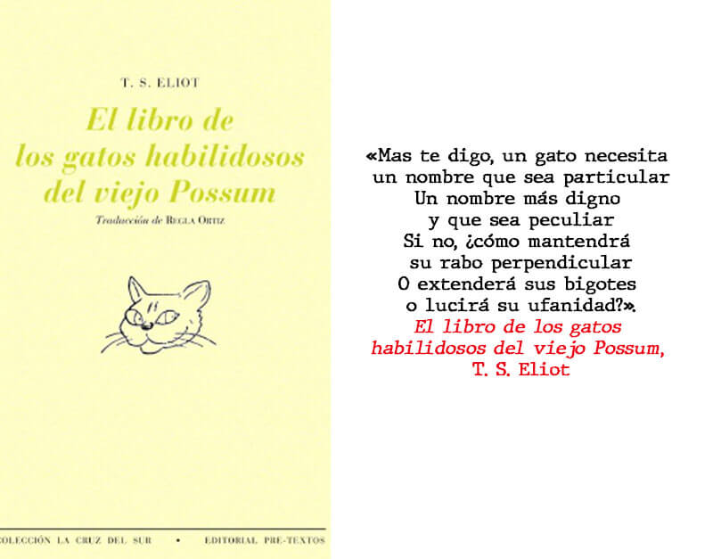 Novelas de gatos: T. S. Eliot