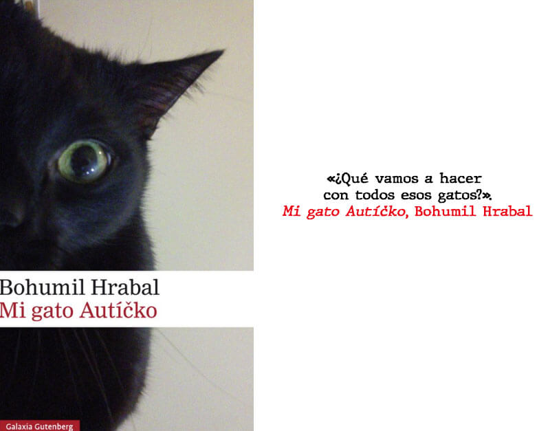 Novelas de gatos: Hrabal