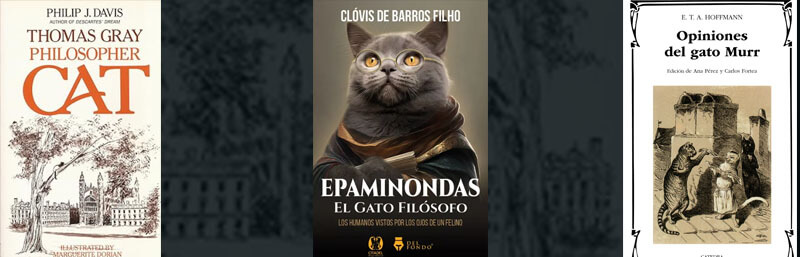 Novelas de gatos: Davis, Barros, Hoffman