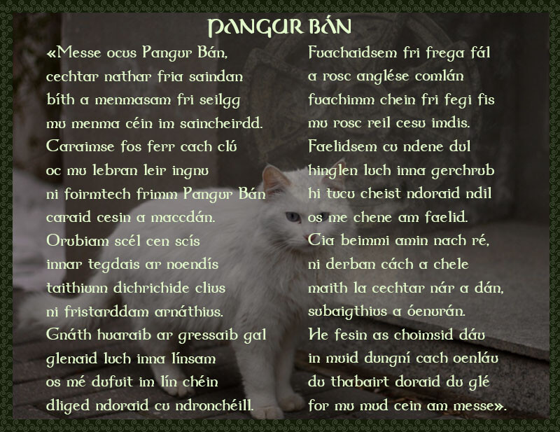 Pangur Bán